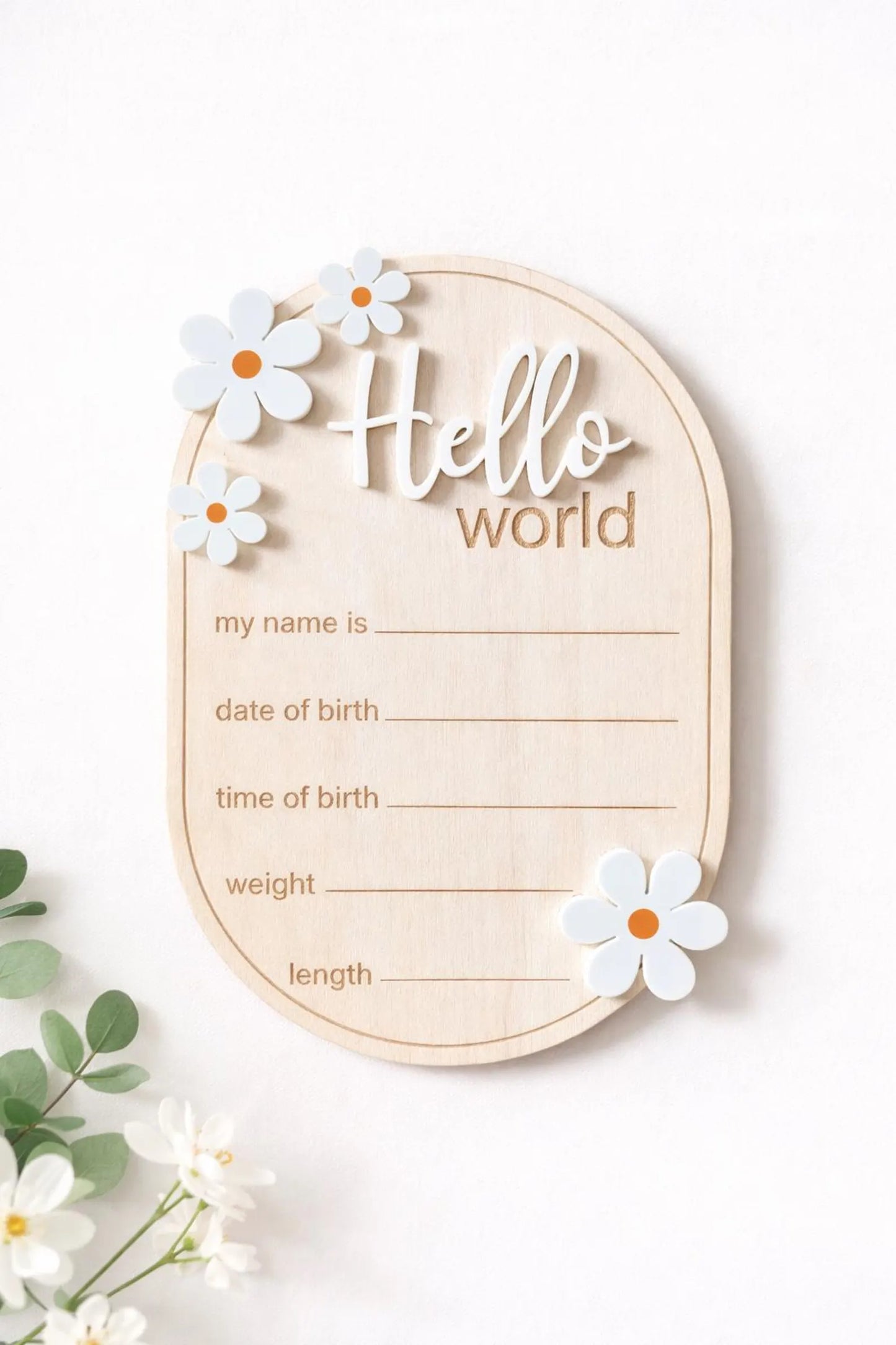 Daisy 'Hello World' Plaque
