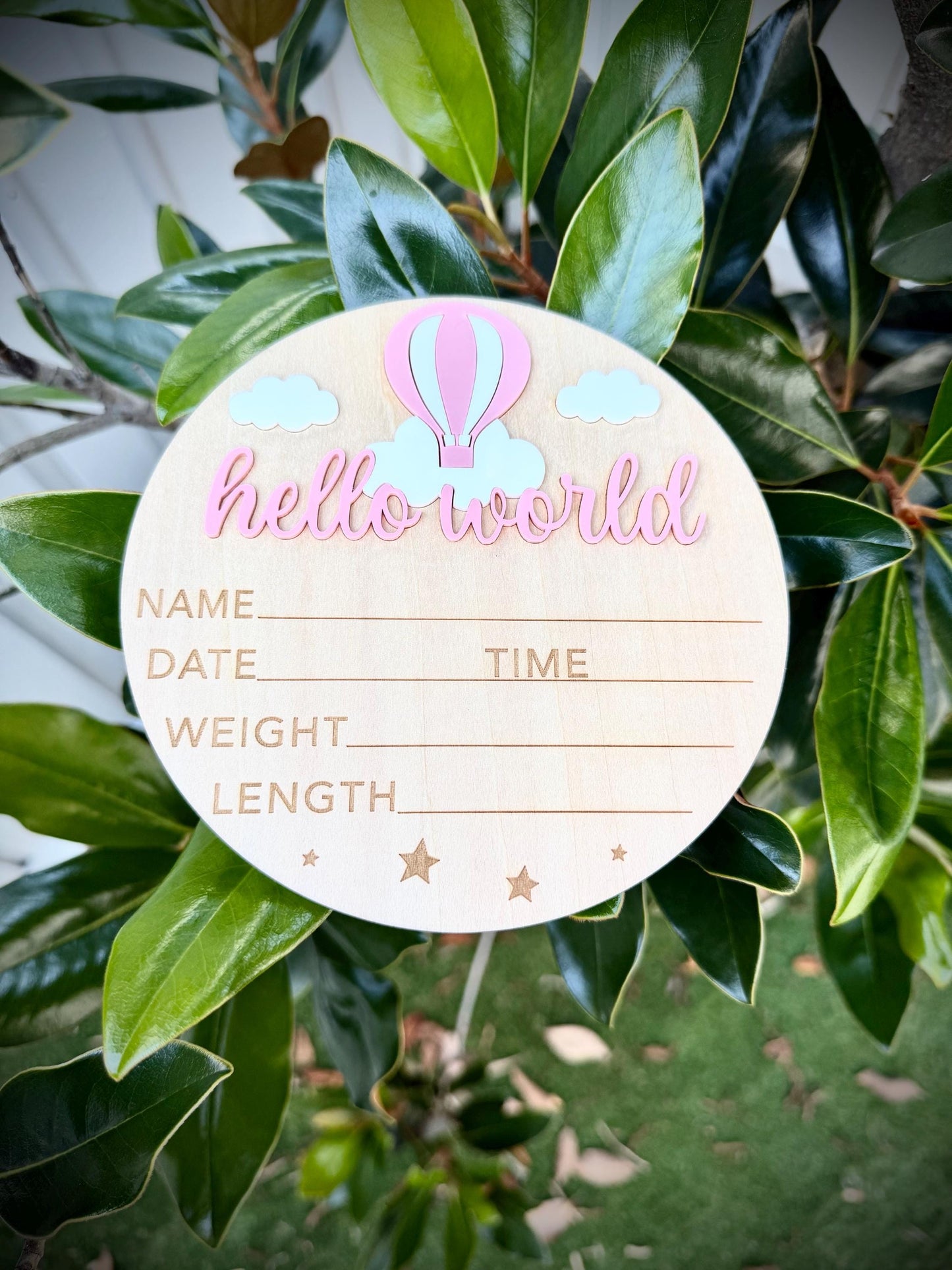 Pink Hot Air Balloon 'Hello World' Plaque