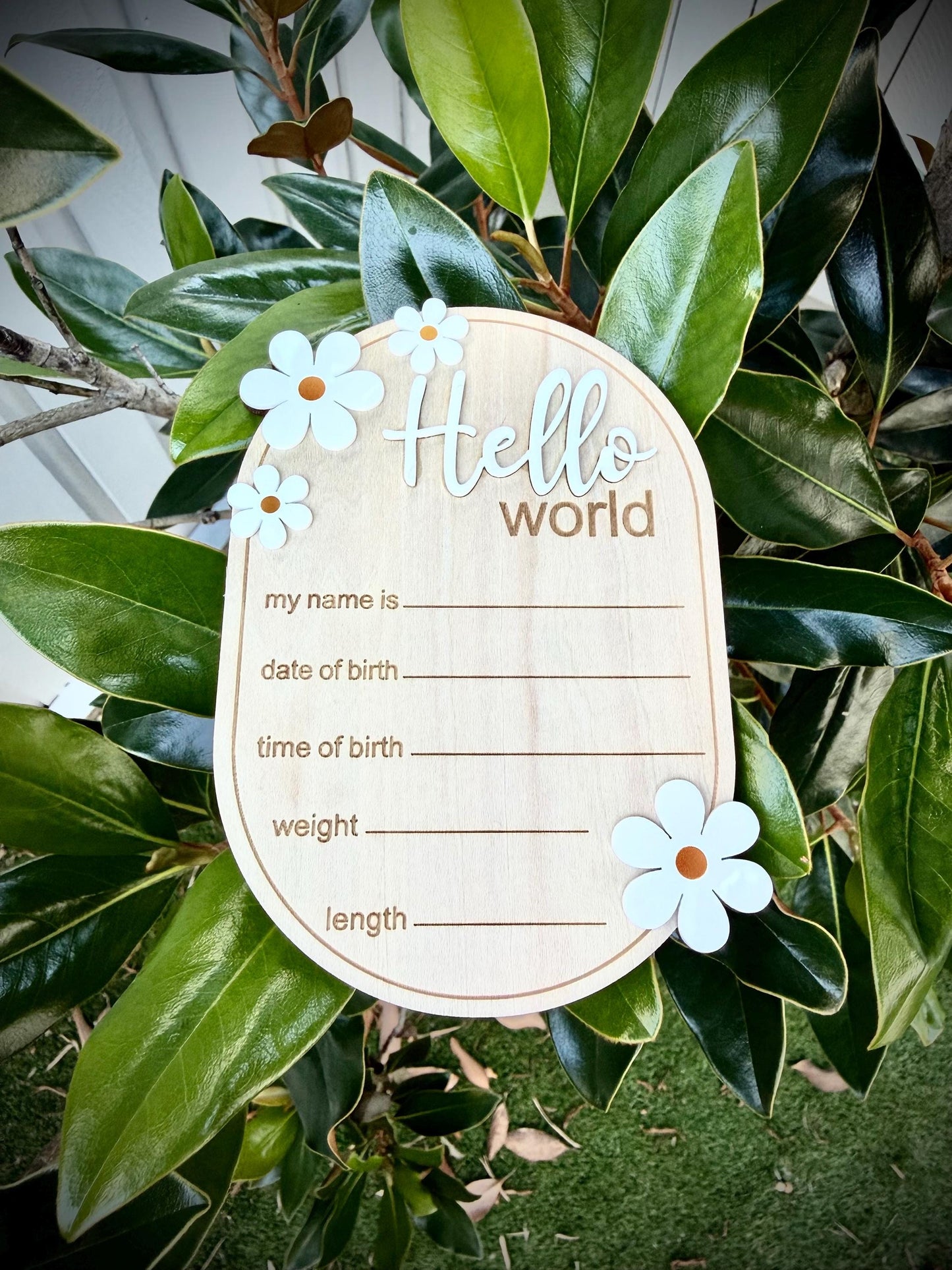 Daisy 'Hello World' Plaque